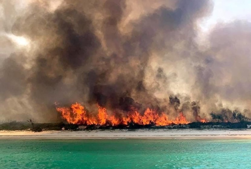 Αυστραλία: Τεράστια πυρκαγιά στην Νήσο Φρέιζερ, που ανήκει στην Παγκόσμια Κληρονομιά της UNESCO